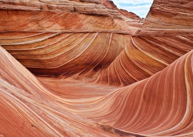 No right angles in nature and its affect on art and design
