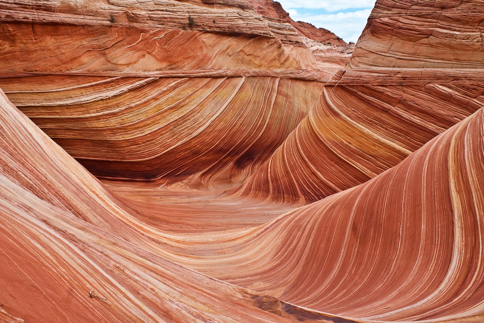 No right angles in nature and its affect on art and design